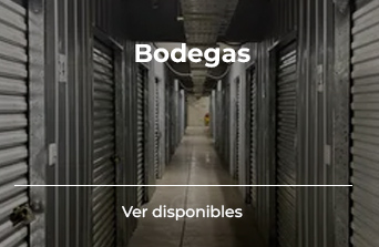 Bodegas